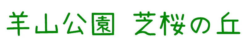 
芝桜